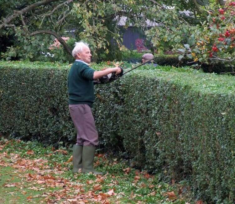 welche-hecke-passt-am-besten-in-mein-garten